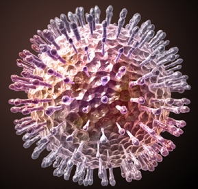 Remédio Medicamento Inibe Reprodução Do Vírus Do Herpes E Pode Evitar Lesões Na Pele Herpes Labial Genital Herpes Zoster