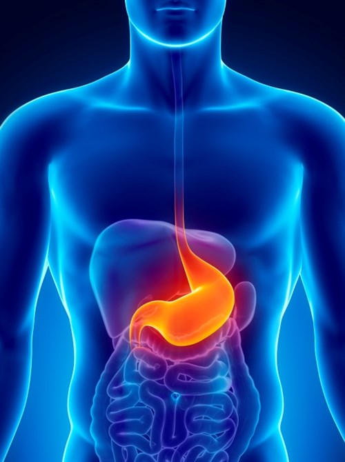  G Noticias 43826 Estomago Refluxo Site