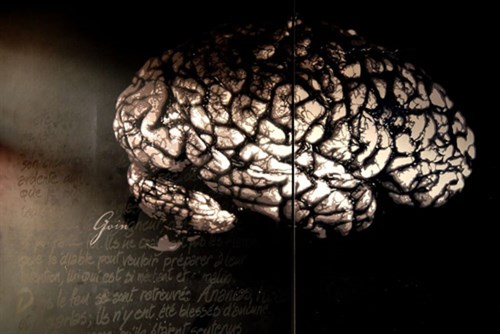 CEREBRO